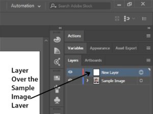 New Layer over the sample image layer | Adobe Illustrator