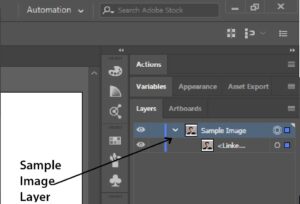 Sample Image Layer | Adobe Illustrator